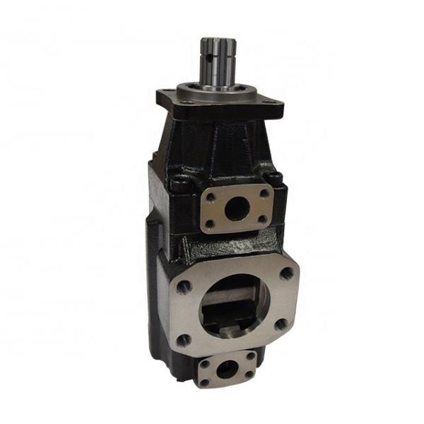 DENISON T6C-038-1R00-A1 vane pump #1 image